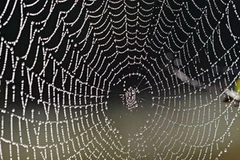 Ảnh minh họa. (Nguồn: Internet)