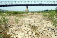 Sông Hồng cạn trơ đáy tại lạch Quýt, Hà Nội.( Ảnh: Trần Thanh Giang/TTXVN)