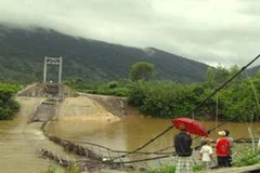 Sập cầu treo ở Đắk Lắk làm một người bị thương 