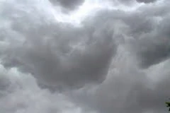 Ảnh minh họa. (Nguồn: Internet)