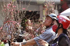 Ảnh minh họa. (Ảnh: Anh Tuấn/TTXVN)