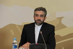 Đại diện của Iran, ông Ali Baqeri, trong cuộc đàm phán giữa Iran với Nhóm 5+1 ngày 5/4 tại Kazakhstan.(Nguồn: THX/TTXVN)