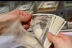 Ảnh minh họa. (Nguồn: Internet)