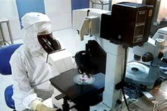 Ảnh minh họa. (Nguồn: Internet)