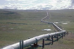 Ảnh minh họa. (Nguồn: Internet)