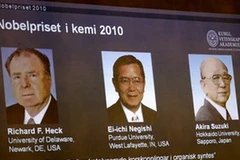Chân dung ba nhà khoa học đoạt giải Nobel Hóa học 2010. (Ảnh: AP)