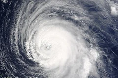 Ảnh minh họa. (Nguồn: Internet)