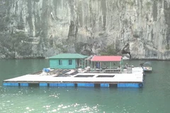 Nhà bè trên Vịnh Hạ Long. (Nguồn: Internet)