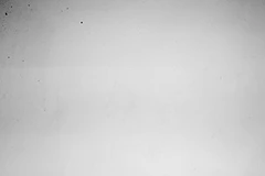 Vết bụi xuất hiện ở góc trên bên trái của hình ảnh.