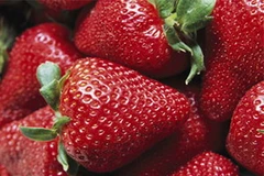 Dâu tây chứa nhiều chất chống lão hóa. (Nguồn: Internet)