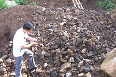 Quặng sắt khai thác trái phép tại huyện Ngân Sơn. (Nguồn Internet)