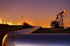 Ảnh minh họa. (Nguồn: Internet)