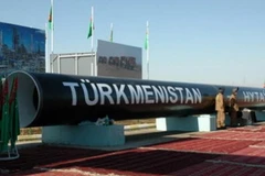 Ảnh minh họa. (Nguồn: Internet)