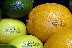 Công nghệ dán nhãn hiệu bằng laser trên hoa quả. (Nguồn: Internet)