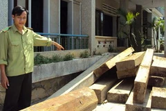 Hàng chục khối gỗ do lâm tặc phá rừng bị Kiểm lâm huyện Hiệp Đức tịch thu. (Nguồn: cand.com.vn)