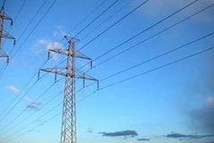 Ảnh minh họa. (Nguồn: Internet)