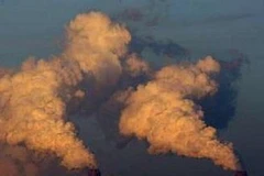 Ảnh minh họa. (Nguồn: Internet)