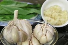 Ảnh minh họa. (Nguồn: Internet)