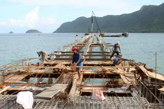 Cầu tàu khách Côn Đảo đang xây lắp. (Ảnh: Thế Lập/Vietnam+)