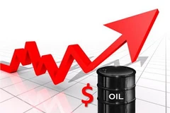 Ảnh minh họa. (Nguồn: Internet)