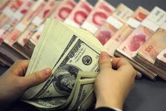 Ảnh minh họa. (Nguồn: Internet)