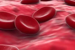 Ảnh minh họa. (Nguồn: Internet)