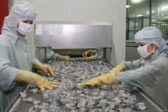 Tôm xuất khẩu của Việt Nam bị Mỹ áp thuế chống bán phá giá. (Ảnh: Huy Hùng/TTXVN)