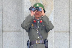 Binh sĩ CHDCND Triều Tiên tại làng đình chiến Panmunjom, thuộc khu phi quân sự giữa hai miền. (Nguồn: AFP/TTXVN)