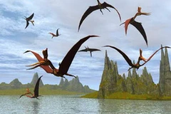 Ảnh chỉ có tính minh họa. (Nguồn: Internet)