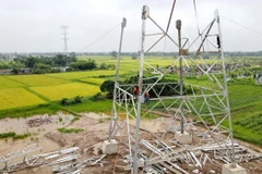 Các đơn vị thi công vị trí cột 207 tại xã Quỳnh Khê, huyện Quỳnh Phụ. (Ảnh: Thế Duyệt/TTXVN)