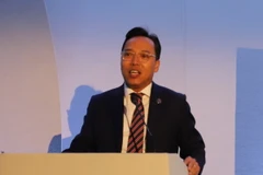 Ông Nguyễn Hoàng Long. (Ảnh: Phong Hà/TTXVN)