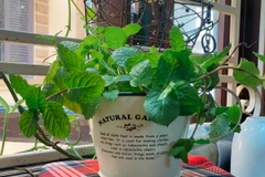 Ảnh minh họa. (Nguồn: Vietnam+)