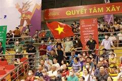 Ảnh minh họa (Vũ Sinh/TTXVN)