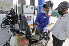 Ảnh minh họa. (Ảnh: Trần Việt/TTXVN)