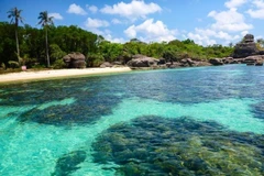 Ảnh minh họa. (Nguồn: baochinhphu.vn)