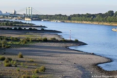 Mực nước sông Rhine xuống thấp gây khó khăn cho vận tải hàng hóa. (Nguồn: dw.com)