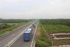 Ảnh minh họa (Minh Trí/TTXVN)