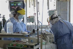 Ảnh minh họa. (Ảnh: AFP/TTXVN)