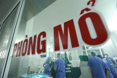 Ảnh minh họa. (Ảnh: Minh Quyết/TTXVN)