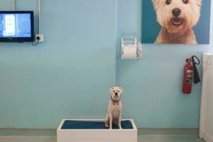 Ảnh minh họa. (Nguồn: france24.com)