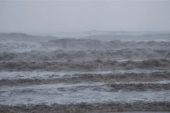 Ảnh minh họa. (Ảnh: THX/TTXVN)