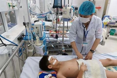 Trẻ em bị sốt xuất huyết được điều trị tại khoa Nhi-Bệnh viện Đa khoa tỉnh Ninh Thuận. (Ảnh: Công Thử/TTXVN)