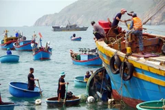 Ảnh minh họa. (Ảnh: TTXVN phát)