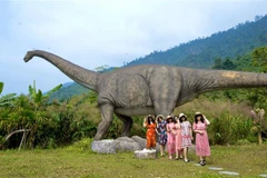 Du khách tham quan tại Khu du lịch Núi Thần Tài (Đà Nẵng). (Ảnh: TTXVN)