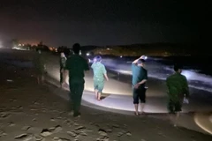 Ảnh minh họa. (Ảnh: TTXVN phát)