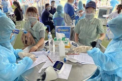Ảnh minh họa. (Ảnh: Huyền Trang/TTXVN)