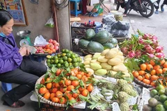 Một quầy bán hoa quả tại chợ Trại Găng, quận Hai Bà Trưng (Hà Nội) rất vắng khách. (Ảnh: Phương Anh/TTXVN)