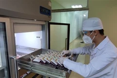 Ảnh minh họa. (Ảnh: Thu Hiền/TTXVN)