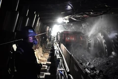 Ảnh minh họa. (Ảnh: THX/TTXVN)