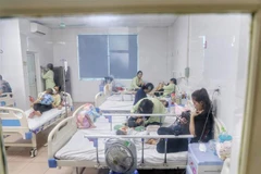 Ảnh minh họa. (Ảnh: Tuấn Đức/TTXVN)